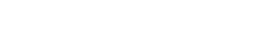 Audiobird Logo