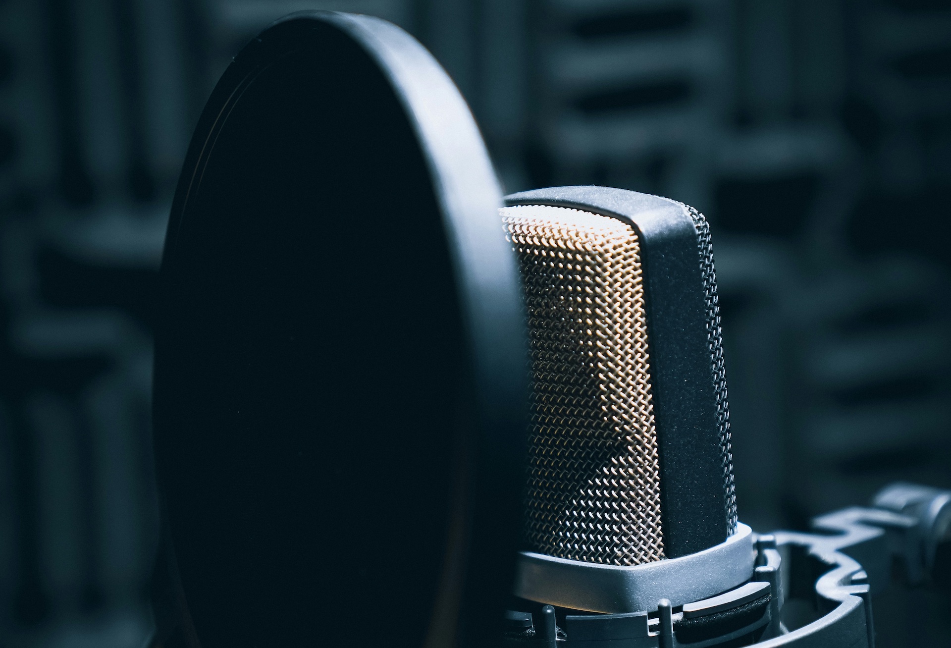 El casting online de locutores